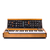 Синтезатор MOOG MINIMOOG MODEL D MIN-MOOG-D-02 - 124853 за 0 грн. | 4Club