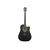 Акустическая гитара TREMBITA DcGTH