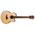 Электроакустическая гитара IBANEZ AELFF10 NT - 126467 за 0 грн. | 4Club