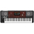Синтезатор KORG PA700-OR