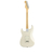Электрогитара FENDER PLAYER STRATOCASTER MN PWT
