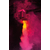 Генератор дыма с LED подсветкой ADJ Fog Fury Jett