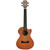 Укулеле Alvarez RU22TCE - 137617 за 6978 грн. | 4Club