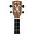 Укулеле Alvarez RU22TCE