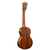 Укулеле концертное​ Martin C1KUKE