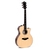 Электроакустическая гитара Sigma GWCE-3+ - 137939 за 0 грн. | 4Club