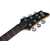 Электрогитара SCHECTER C-6 PLUS OBB