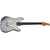 Электрогитара SCHECTER NICK JOHNSTON DS TRAD A.SLVR - 142175 за 0 грн. | 4Club