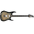 Электрогитара IBANEZ RG1121PB CKB - 143802 за 0 грн. | 4Club