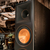 Напольная акустика Klipsch Reference Premiere RP-8000F Ebony, фото , изображение 5