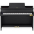 Цифровое пианино CASIO GP-310BKC7 (Black)