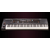 Синтезатор Sequential (Dave Smith Instruments) Prophet XL