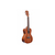 Укулеле KALA MAHOGANY CONCERT UKULELE WITH BINDING