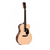 Акустична гітара Ditson G-10 - 151836 за 0 грн. | 4Club