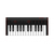 MIDI-клавиатура IK MULTIMEDIA iRIG KEYS 2 Mini - 152488 за 6793 грн. | 4Club
