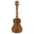 Укулеле концерт Alvarez AU90C