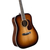 Акустична гітара CORT GOLD-D8 (Light Burst)