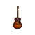Электроакустическая гитара FENDER REDONDO SPECIAL HONEY SUNBURST - 154731 за 0 грн. | 4Club