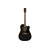 Електроакустична гітара FENDER FA-25CE BLACK - 158072 за 0 грн. | 4Club