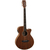 Электроакустическая гитара TANGLEWOOD TRU4 CE AW - 159550 за 0 грн. | 4Club