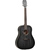 Электроакустическая гитара TANGLEWOOD TWBB SD E - 159554 за 7805 грн. | 4Club