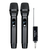 Портативна бездротова мікрофонна система Takstar TS-K302 - 160529 за 3013 грн. | 4Club