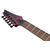Електрогітара IBANEZ RGD621AH-MNF