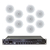 Комплект звука DV audio LA10010601 для помещения до 240 м.кв - 161660 за 13098 грн. | 4Club