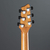 Електрогітара GODIN XTSA Leaftop TransBlack 025503