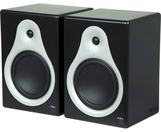 Студийные мониторы M-AUDIO DSM2 - 20312 за 0 грн. | 4Club