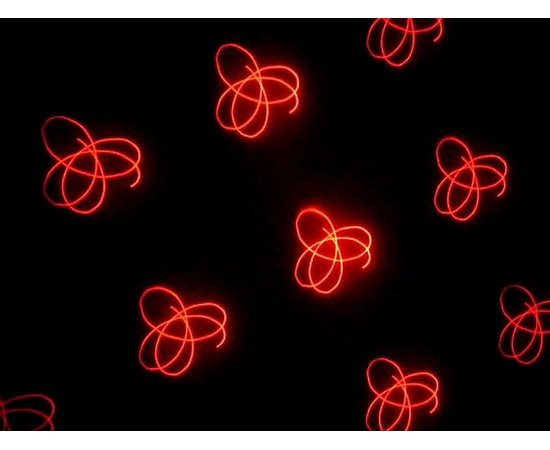 Лазер TVS Mini005 BR Firefly 200mw, фото 