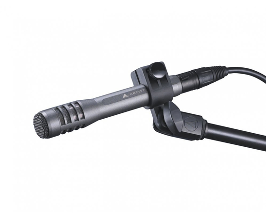 Микрофон инструментальный Audio-Technica AE5100 - 31783 за 0 грн. | 4Club