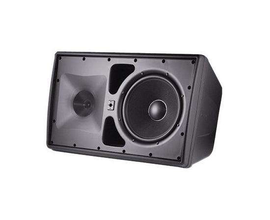 Настенная акустическая система JBL Control30