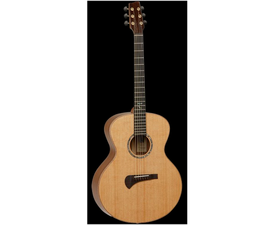 Электроакустическая гитара Tanglewood TSM 2 - 33006 за 0 грн. | 4Club