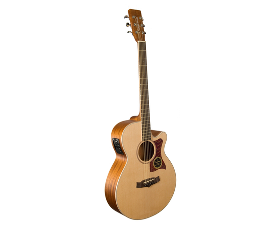 Электроакустическая гитара Tanglewood TW45 OP E - 33044 за 0 грн. | 4Club