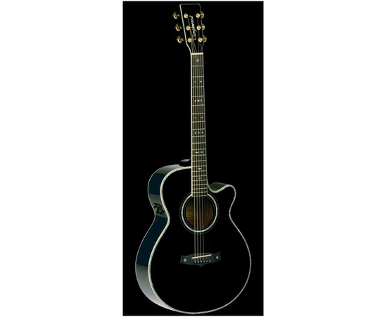 Электроакустическая гитара Tanglewood TW49 BK DLX E - 33221 за 0 грн. | 4Club