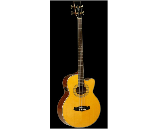Акустический бас Tanglewood TW55 A/BASS E - 33235 за 0 грн. | 4Club