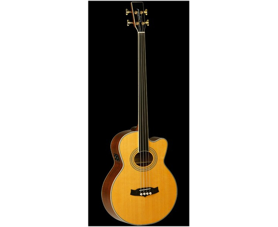 Акустический бас Tanglewood TW55 A/BASS FR E - 33237 за 0 грн. | 4Club