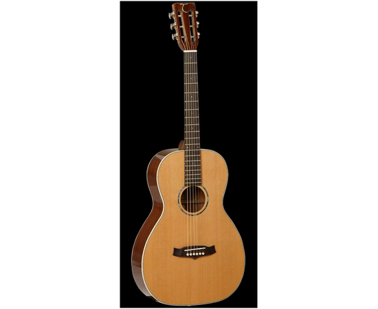 Вестерн гитара Tanglewood TW73 PRO SPEC - 33254 за 0 грн. | 4Club