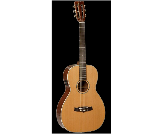 Электроакстическая гитара Tanglewood TW73 PRO SPEC E - 33255 за 0 грн. | 4Club