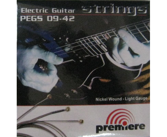 Струны  PREMIERE STRINGS   PEGS09-42 - 33677 за 177 грн. | 4Club