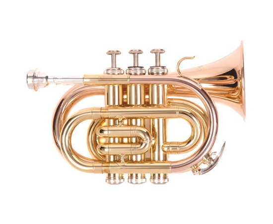 Труба ODYSSEY OCR-100P - 36050 за 16106 грн. | 4Club