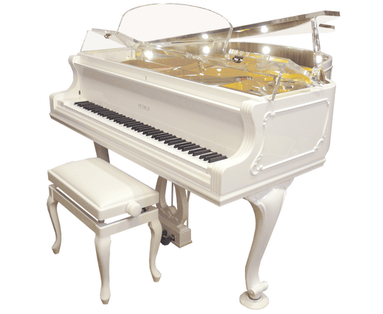 Рояль PETROF PIVCHIP-0001 - 35462 за 0 грн. | 4Club