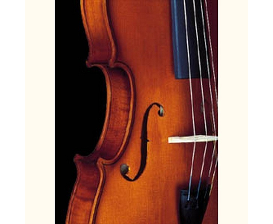 Скрипка STRUNAL 1750 - 36209 за 0 грн. | 4Club