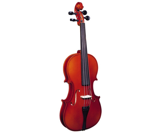 Скрипка STRUNAL 240 (3/4) - 36167 за 0 грн. | 4Club