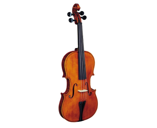 Альт STRUNAL 3/16 W - 36165 за 0 грн. | 4Club