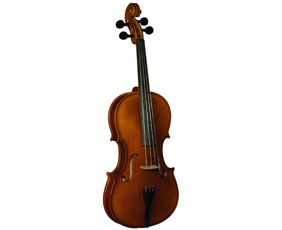 Альт STRUNAL 3/6 W - 36163 за 0 грн. | 4Club