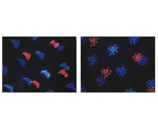 Заливочный лазер TVS Dolphin-2 BR Multi-Pattern 550mw