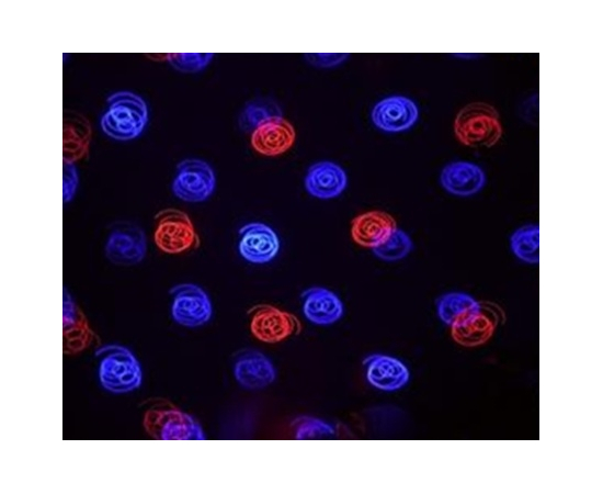 Заливочный лазер TVS Q5 BR Multi-Pattern 250mw