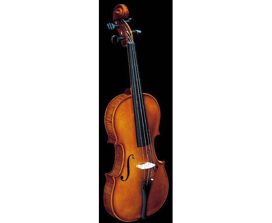 Скрипка STRUNAL 193W - 36229 за 0 грн. | 4Club